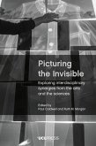 Picturing the Invisible (eBook, ePUB)