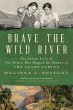 Brave the Wild River (eBook, ePUB) - Bild 1