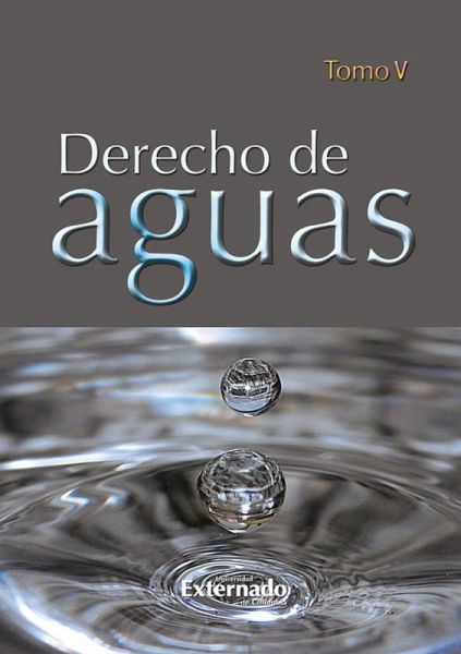Derecho de Aguas Tomo V (eBook, PDF)