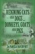 Reigning Cats and Dogs ... Donkeys,... - Bild 1