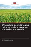 Effets de la géométrie des cultures et du schéma de plantation sur le maïs