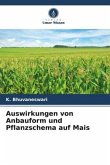 Auswirkungen von Anbauform und Pflanzschema auf Mais