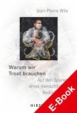 Warum wir Trost brauchen (eBook, PDF)