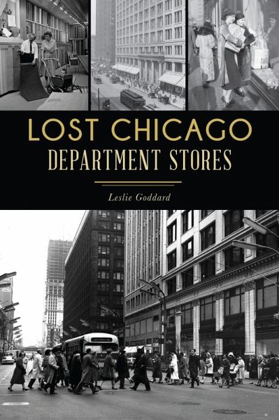 Lost Chicago Department Stores (eBook, ePUB)
