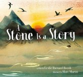 A Stone Is a Story (eBook, ePUB)
