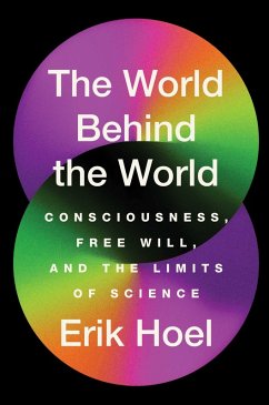 The World Behind the World (eBook, ePUB) - Hoel, Erik