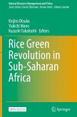 Rice Green Revolution in Sub-Saharan Africa