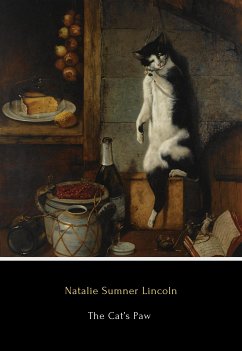 The Cat's Paw (eBook, ePUB) - Sumner Lincoln, Natalie