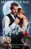 Protect - Part One (Willow Cove Shifters - The Pack, #10) (eBook, ePUB)