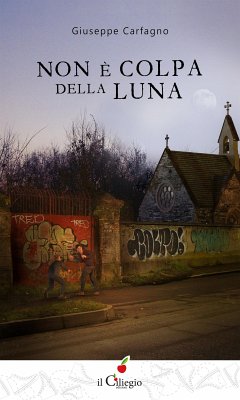 Non è colpa della luna (eBook, ePUB) - Carfagno, Giuseppe