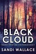 Black Cloud (eBook, ePUB) - Bild 1