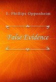 False Evidence (eBook, ePUB)