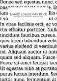 Lorem Ipsum das Buch (eBook, ePUB)