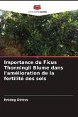 Importance du Ficus Thonningii Blume dans l'amélioration de la fertilité des sols