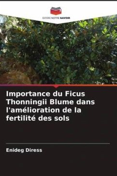 Importance du Ficus Thonningii Blume dans l'amélioration de la fertilité des sols - Diress, Enideg