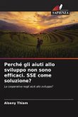 Perché gli aiuti allo sviluppo non sono efficaci. SSE come soluzione?