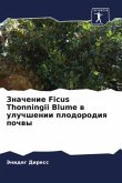 Znachenie Ficus Thonningii Blume w uluchshenii plodorodiq pochwy