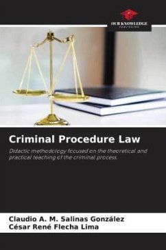 Criminal Procedure Law - Salinas González, Claudio A. M.;Flecha Lima, César René