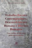Trabalho Escravo Contemporâneo, Desenvolvimento Humano e Direitos Humanos (eBook, ePUB)