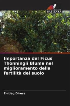 Importanza del Ficus Thonningii Blume nel miglioramento della fertilità del suolo - Diress, Enideg