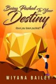 Being Pushed To Your Destiny (eBook, ePUB)