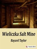 Wieliczka Salt Mine, 1850 (eBook, ePUB)