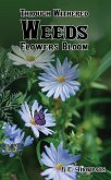 Through Withered Weeds Flowers Bloom (eBook, ePUB)