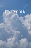 Fool's Gold (eBook, ePUB) Fool's Gold (eBook, ePUB)