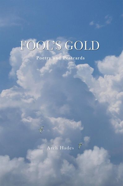 Fool's Gold (eBook, ePUB)
