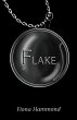 Flake (eBook, ePUB) - Bild 1