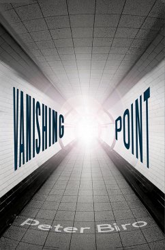 Vanishing Point (eBook, ePUB) - Biro, Peter