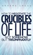 How to Negotiate the Crucibles of Life... - Bild 1