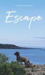 Escape (eBook, ePUB) - Bild 1