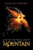 Destiny on Magic White Mountain (eBook, ePUB)