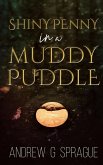 Shiny Penny in a Muddy Puddle (eBook, ePUB)