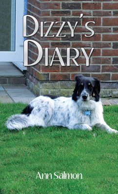 Cover Dizzy's Diary (eBook, ePUB)