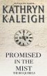 Promised in the Mist (eBook, ePUB) - Bild 1