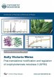 Post-translational modification and... - Bild 1
