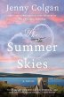 The Summer Skies (eBook, ePUB) - Bild 1