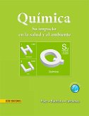 Química (eBook, PDF)