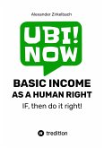 BASIC INCOME AS A HUMAN RIGHT - IF, then do it right! (eBook, ePUB)