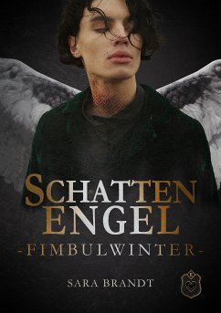 Schattenengel (eBook, ePUB) - Brandt, Sara