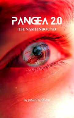 Pangea 2.0 Tsunami Inbound (eBook, ePUB) - Shaw, James