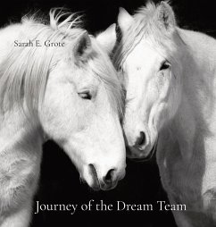 Journey of the Dream Team - Grote, Sarah E