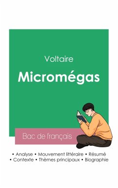 Réussir son Bac de français 2023: Analyse de Micromégas de Voltaire - Voltaire