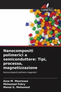 Nanocompositi polimerici a semiconduttore: Tipi, processo, magnetizzazione - Mazrouaa, Azza M.;Fekry, Mohamed;Mohamed, Manal G.