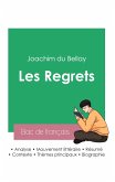 Réussir son Bac de français 2023: Analyse du recueil Les Regrets de Joachim du Bellay