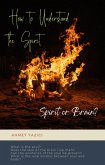How to Understand the Spirit: Spirit or Brain? (eBook, ePUB)