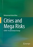 Cities and Mega Risks (eBook, PDF)