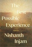 The Best Possible Experience (eBook, ePUB)